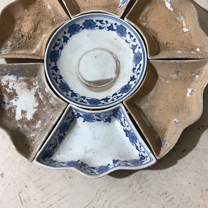 瓷片中间的蓝藻其他的