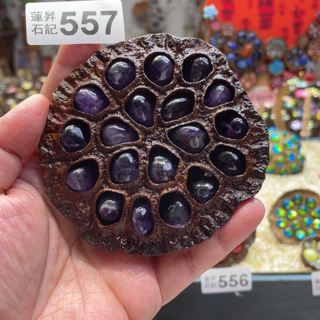 核桃木/黑胡桃（胡桃木）557