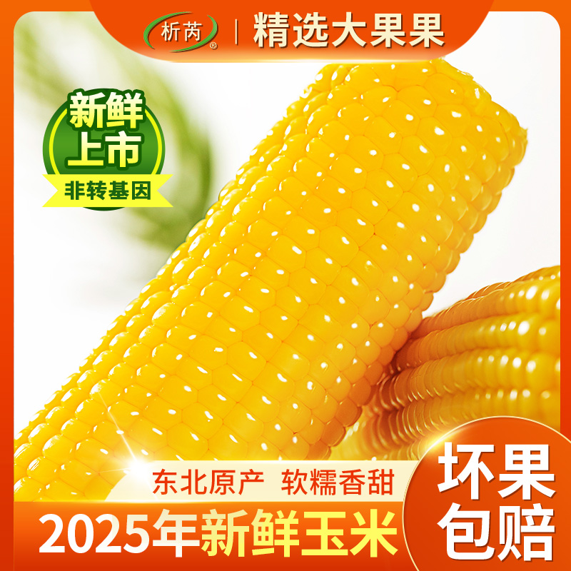 25年头茬大析芮黄糯玉米甜糯粘苞米非转基因250g/根（共10根）