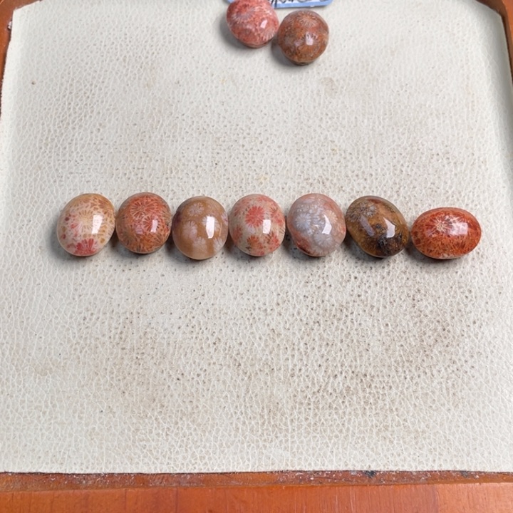 合金珠宝奇石硅化玉&*古21