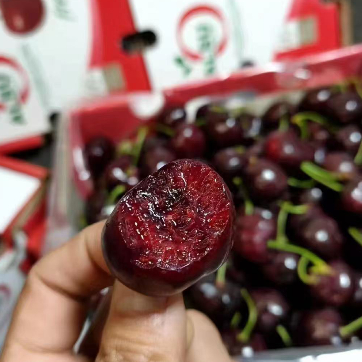 智利空运奥数女神车厘子3JJJD净重2000g当季内附果径卡尼姆巴智利共和国