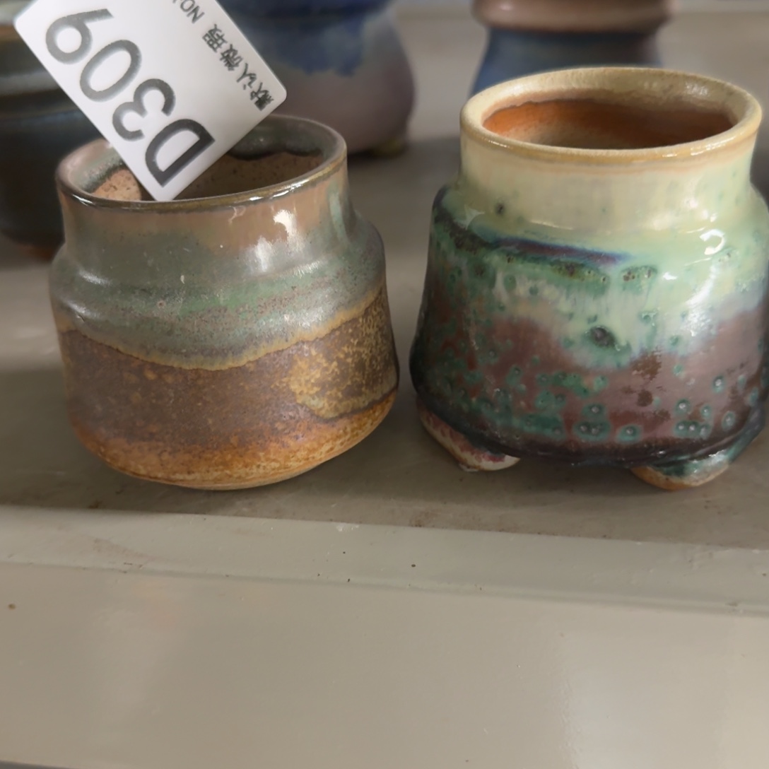 重庆小燕子欢迎大家309陶瓷