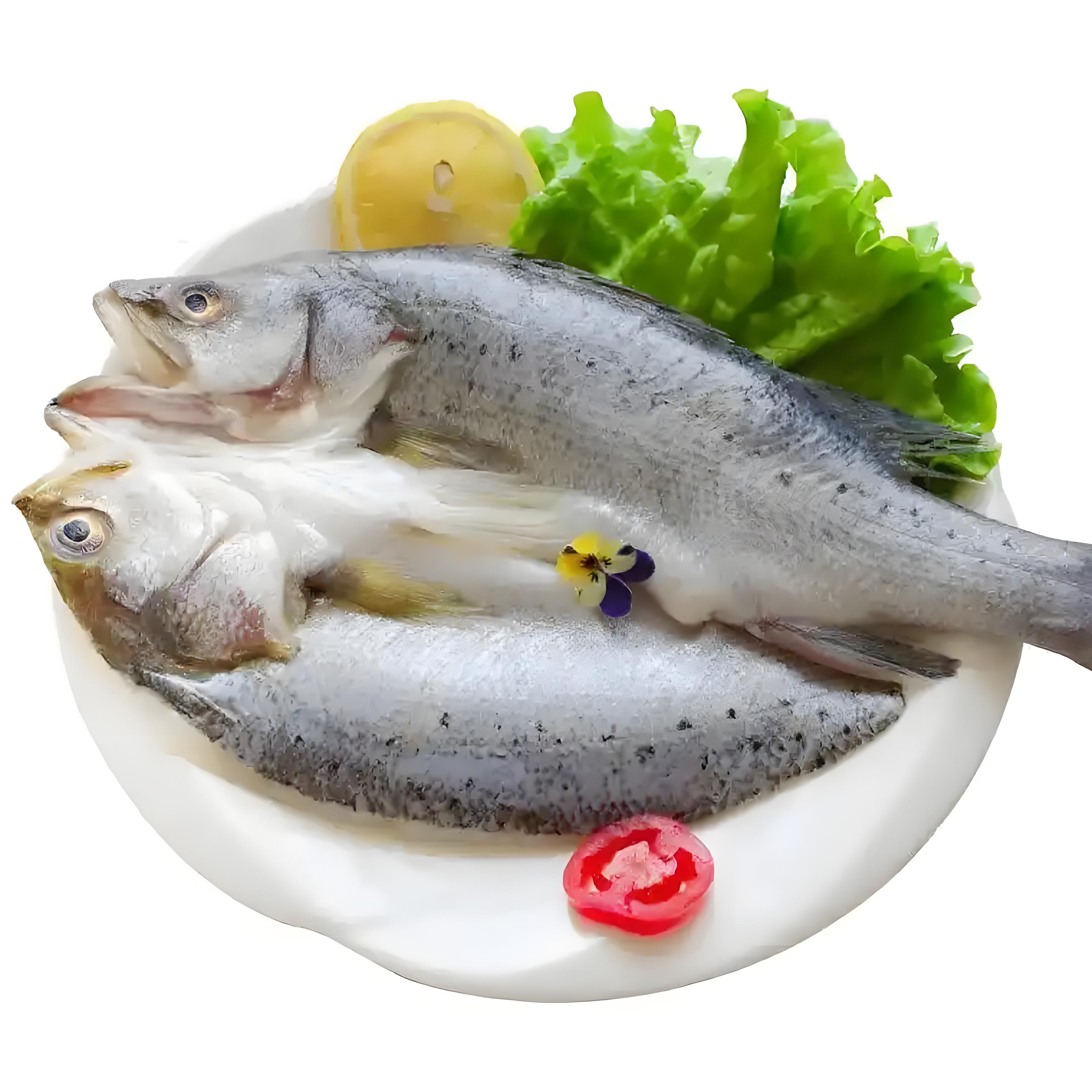 【新疆包邮】深海开背鲈鱼 三去处理