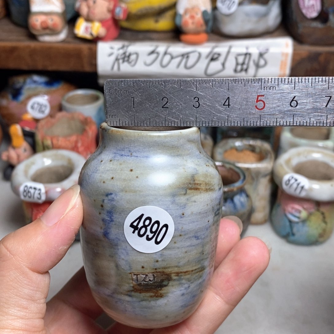 拍5送一个小礼物