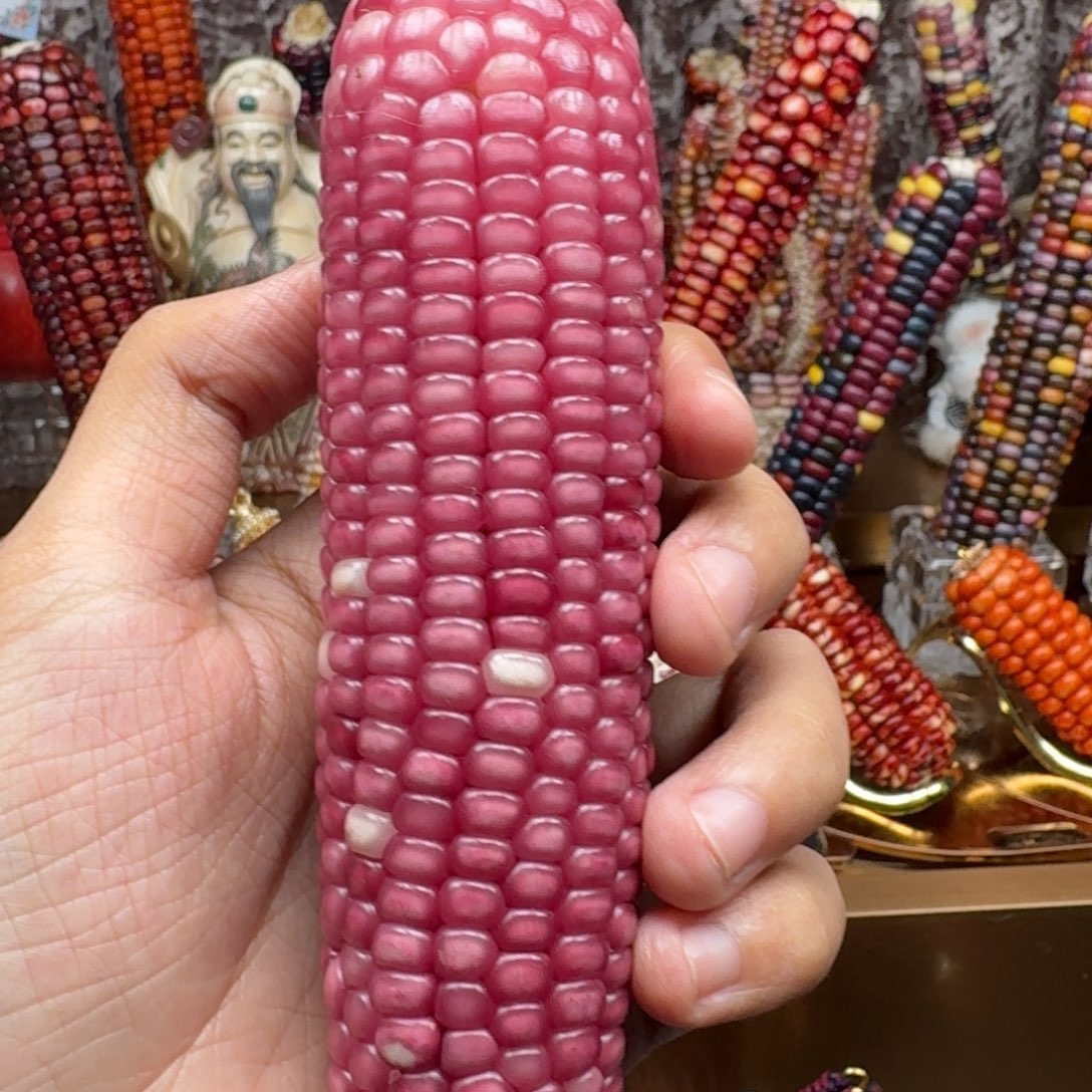 吊坠柏香籽/百香籽
