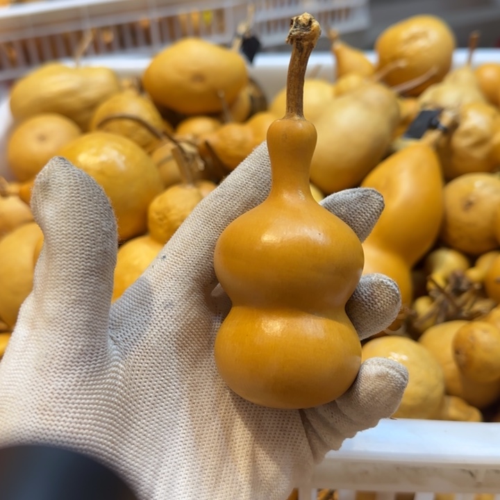 y****鱼哈哈哈哈哈哈哈哈哈