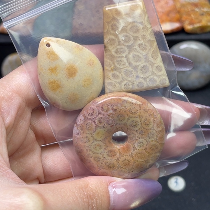 未镶嵌吊坠硅化珊瑚（珊瑚玉）