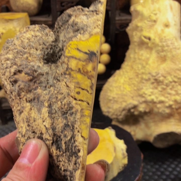 木专****师木料努力努力努力