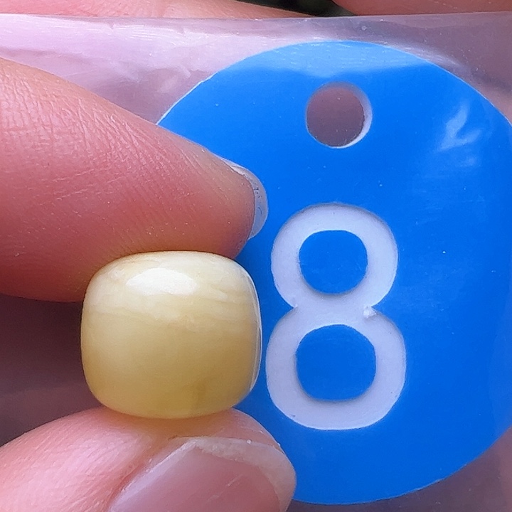 蜜蜡裸石未镶嵌花粉11/10m m