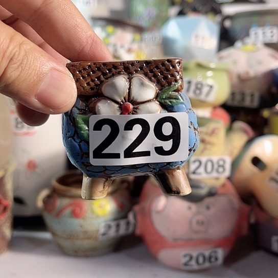 红陶多肉植物花盆