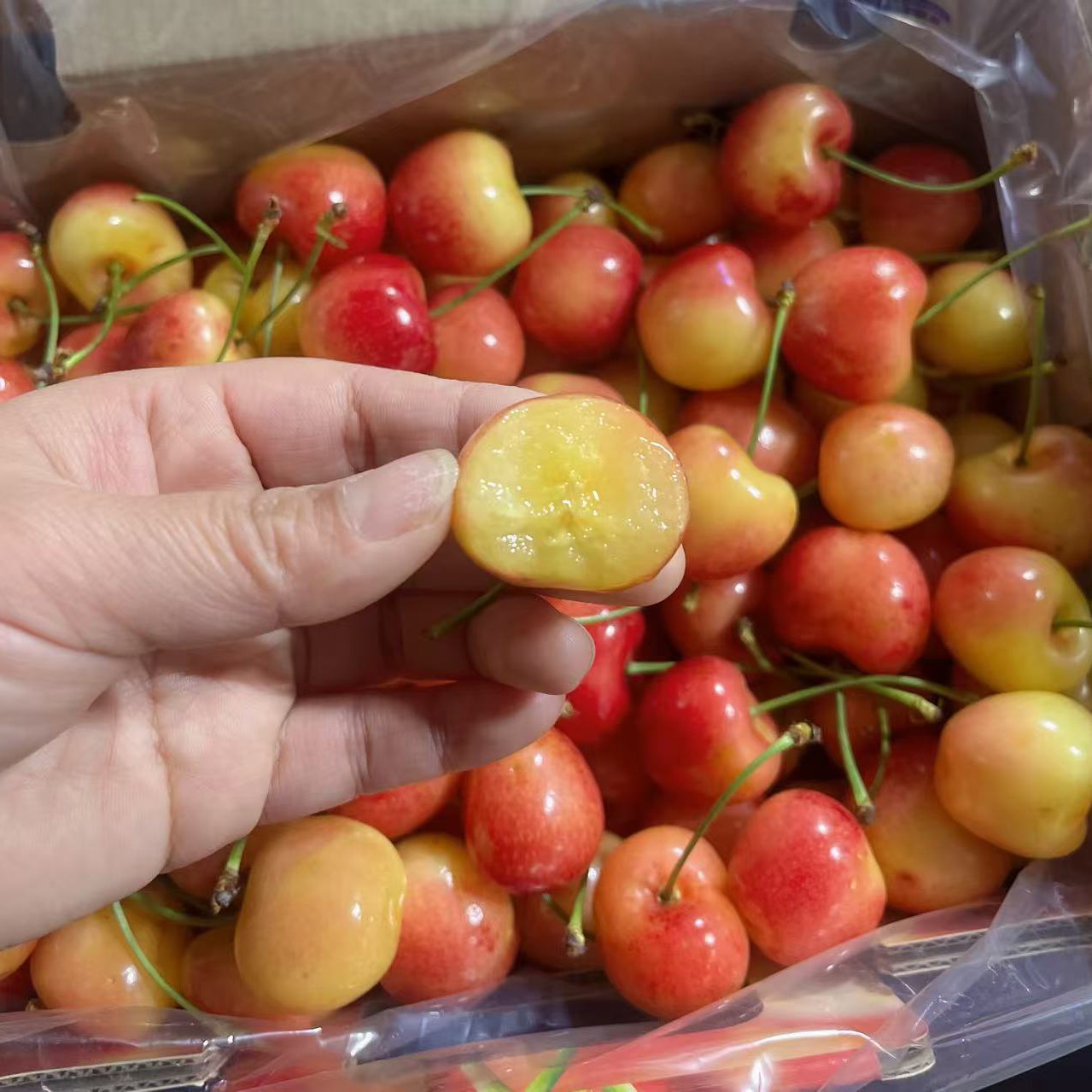 吉制雷尼尔3J黄车海运车厘子一箱（4.4斤）智利