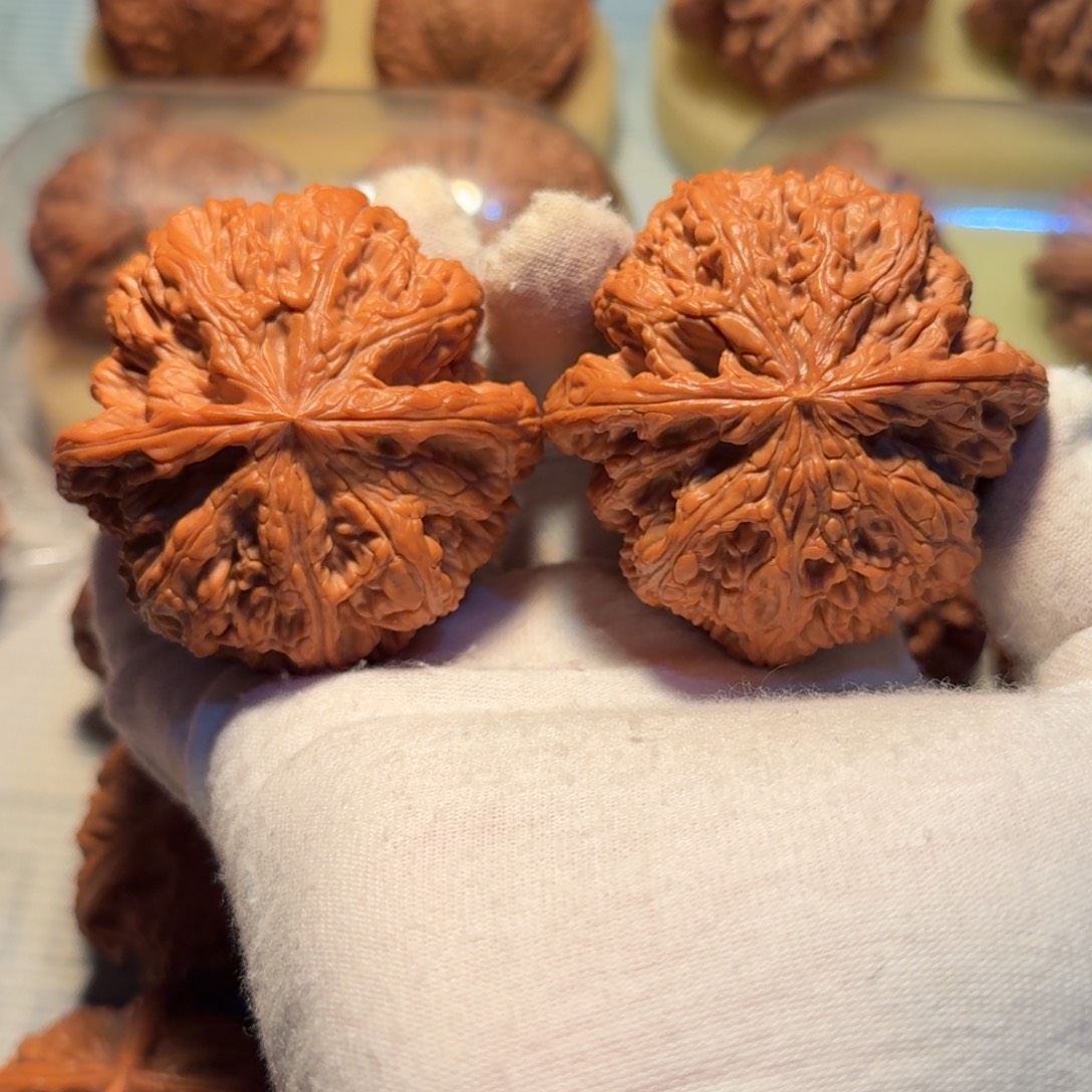 文玩核桃吊坠52大粗筋