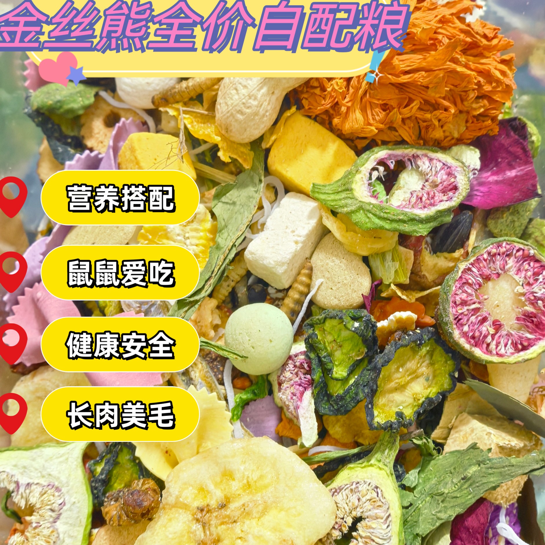 全价营养自配粮金丝波利侏儒鼠爱吃不浪费营养足好吸收