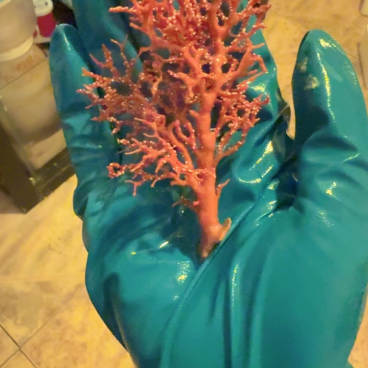 小****纽扣珊瑚海树1111111红