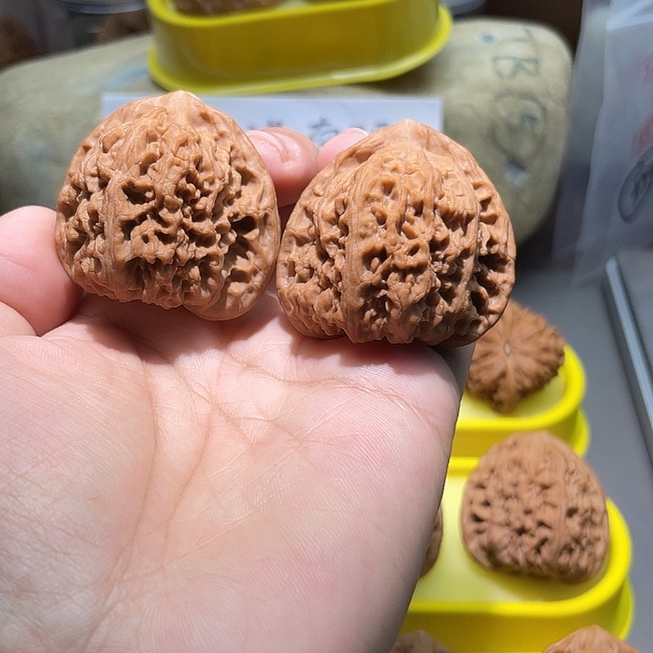 小***儿把件文玩核桃15号，43尺全品三角球