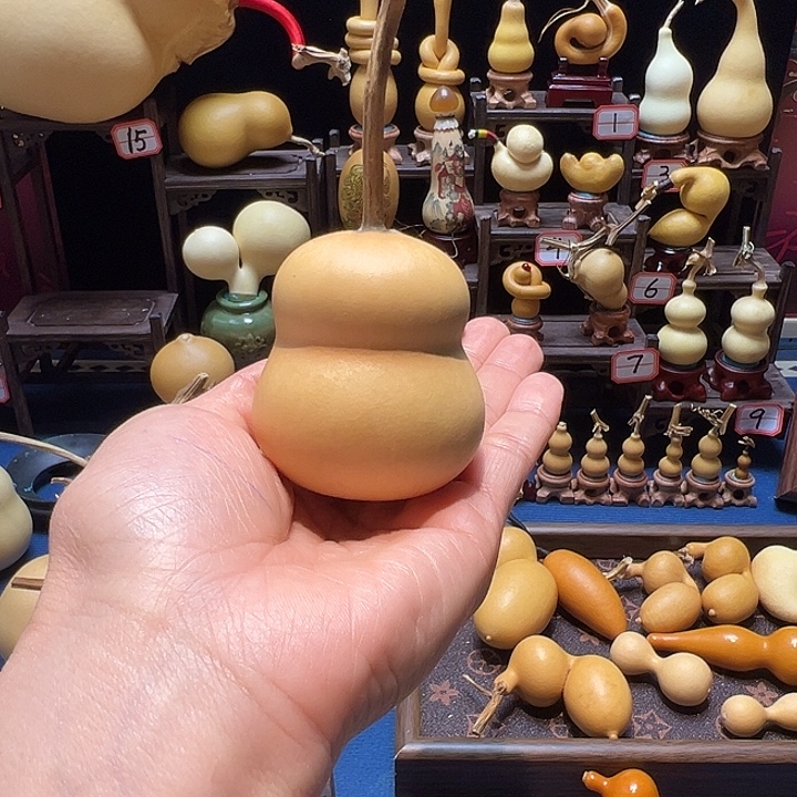 ****右葫芦精品葫芦1234455677