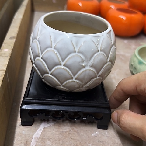 ·［送～白给塑料托盘］·