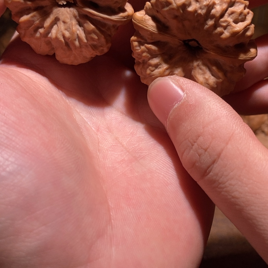 赵****吊坠文玩核桃蛤蟆头D06