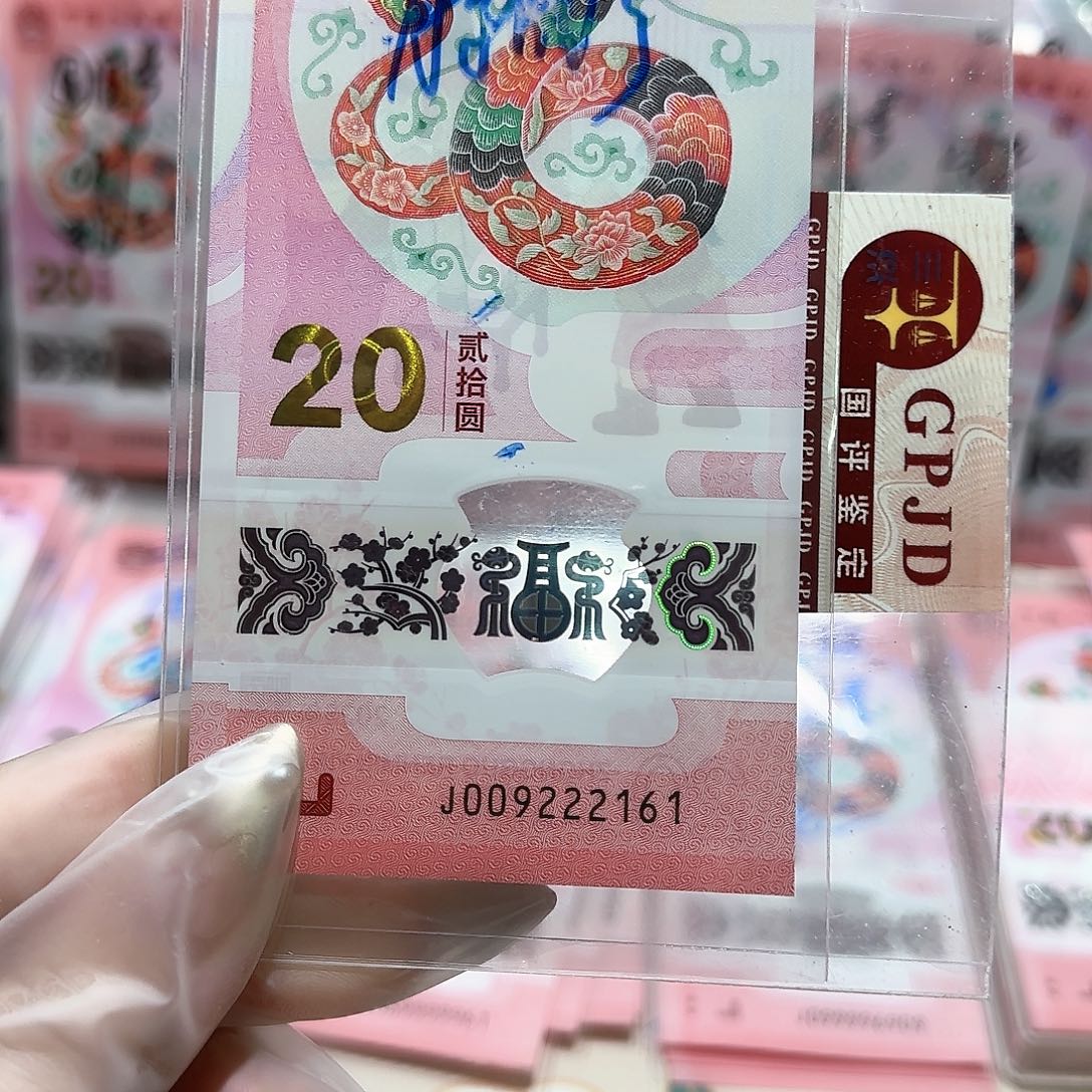 纸009222161。。。。。朦胧豹子身