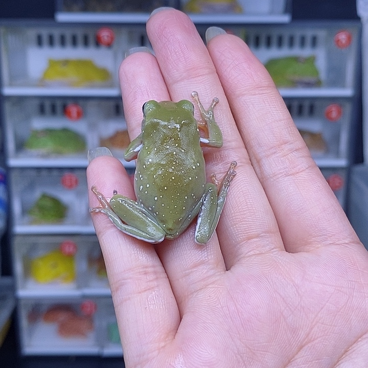 特价秒杀现货特价