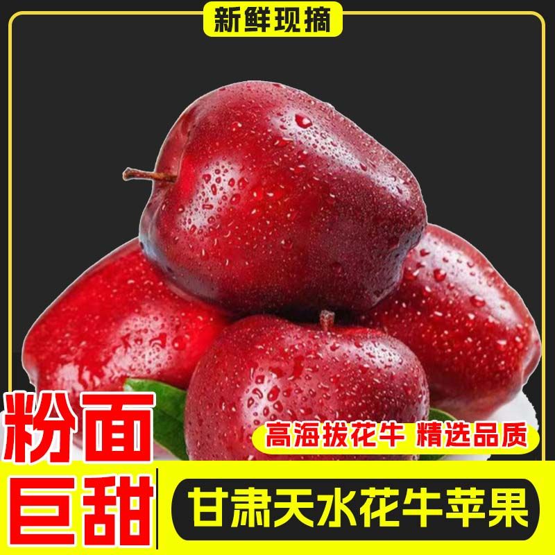 正宗甘肃天水花牛苹果新鲜应季水果蛇果营养天然粉面香甜高山辅食
