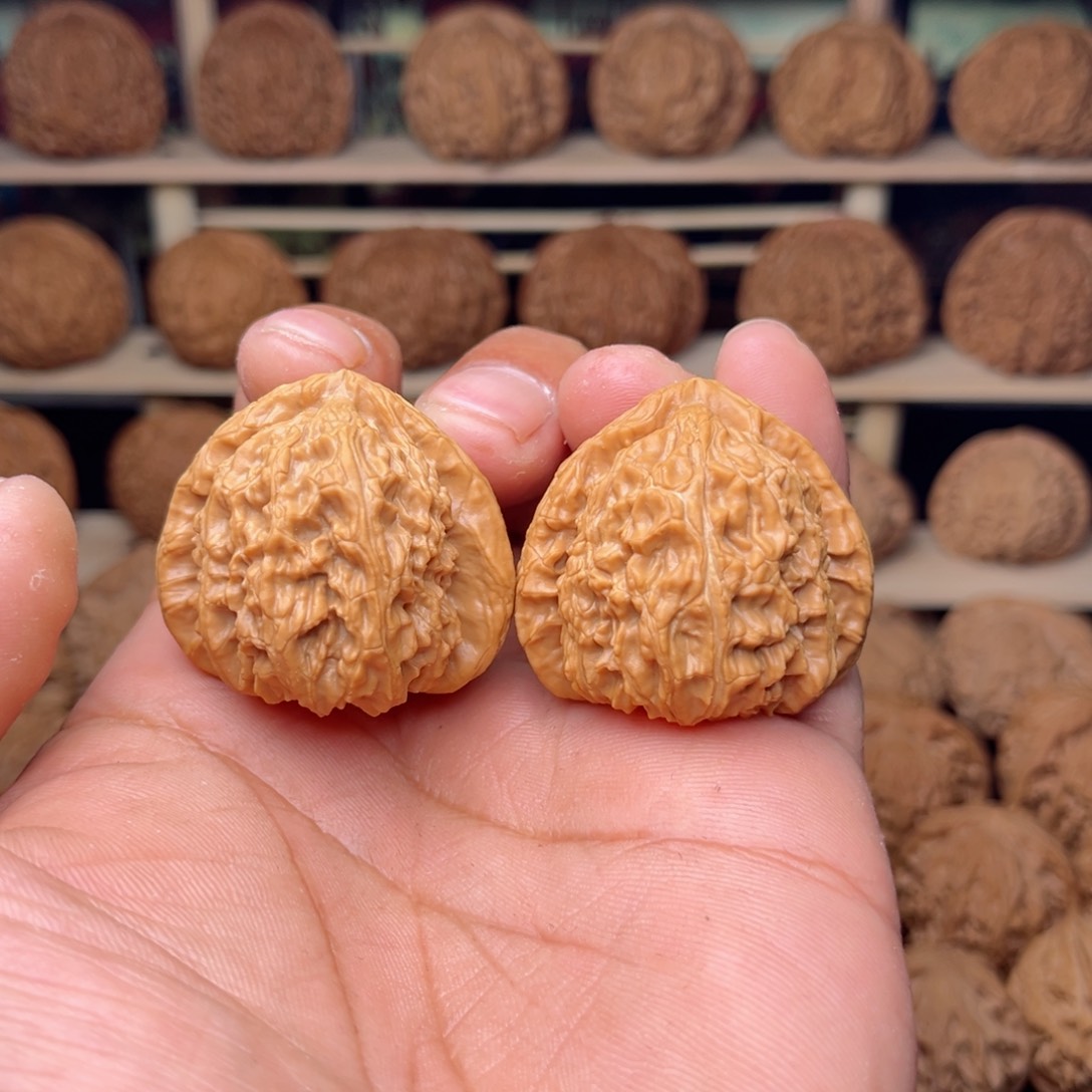 文玩核桃把件来****汁文玩核桃把件37尺白狮子