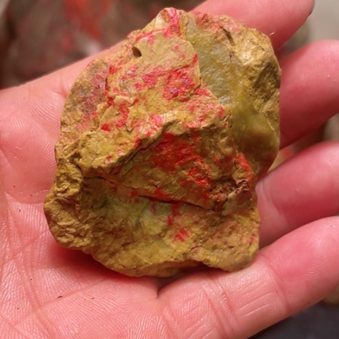 【闪购商品】昌化石昌化田黄鸡血