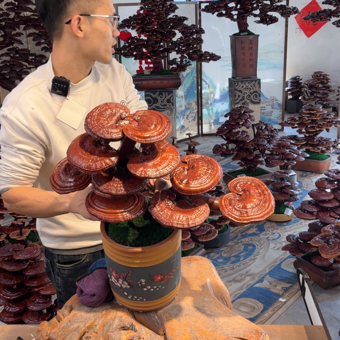 【闪购商品】888888