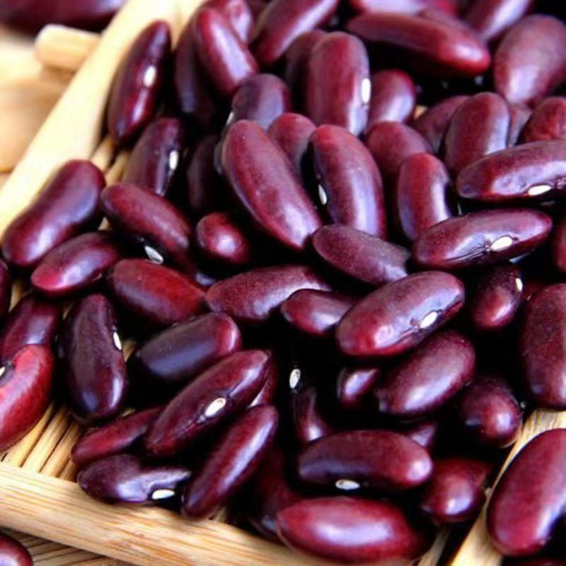 云南农家自产新大红豆红腰豆红芸豆健康食品粉软糯沙