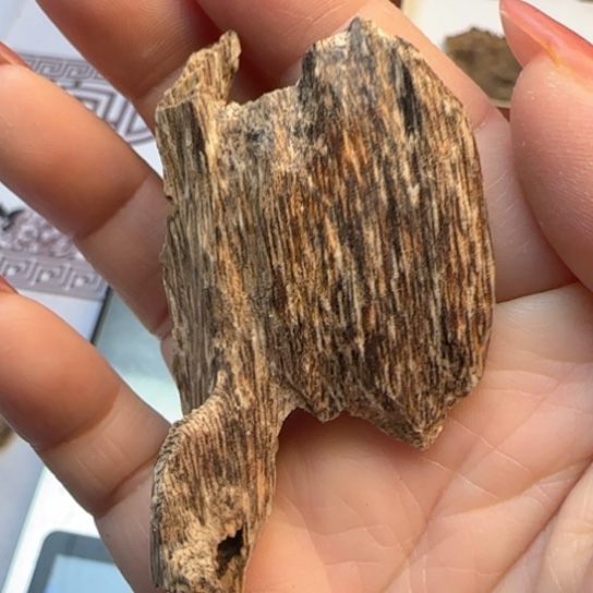 沉香摆件香港树心虫漏4.3克