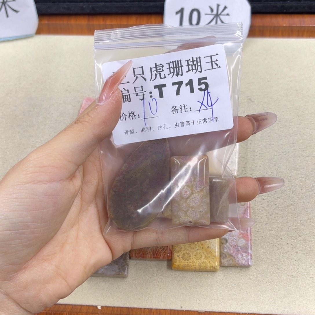 硅化珊瑚（珊瑚玉）t足银镀金镶嵌全**汉