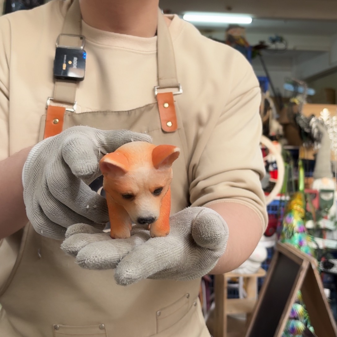 核桃木/黑胡桃（胡桃木）