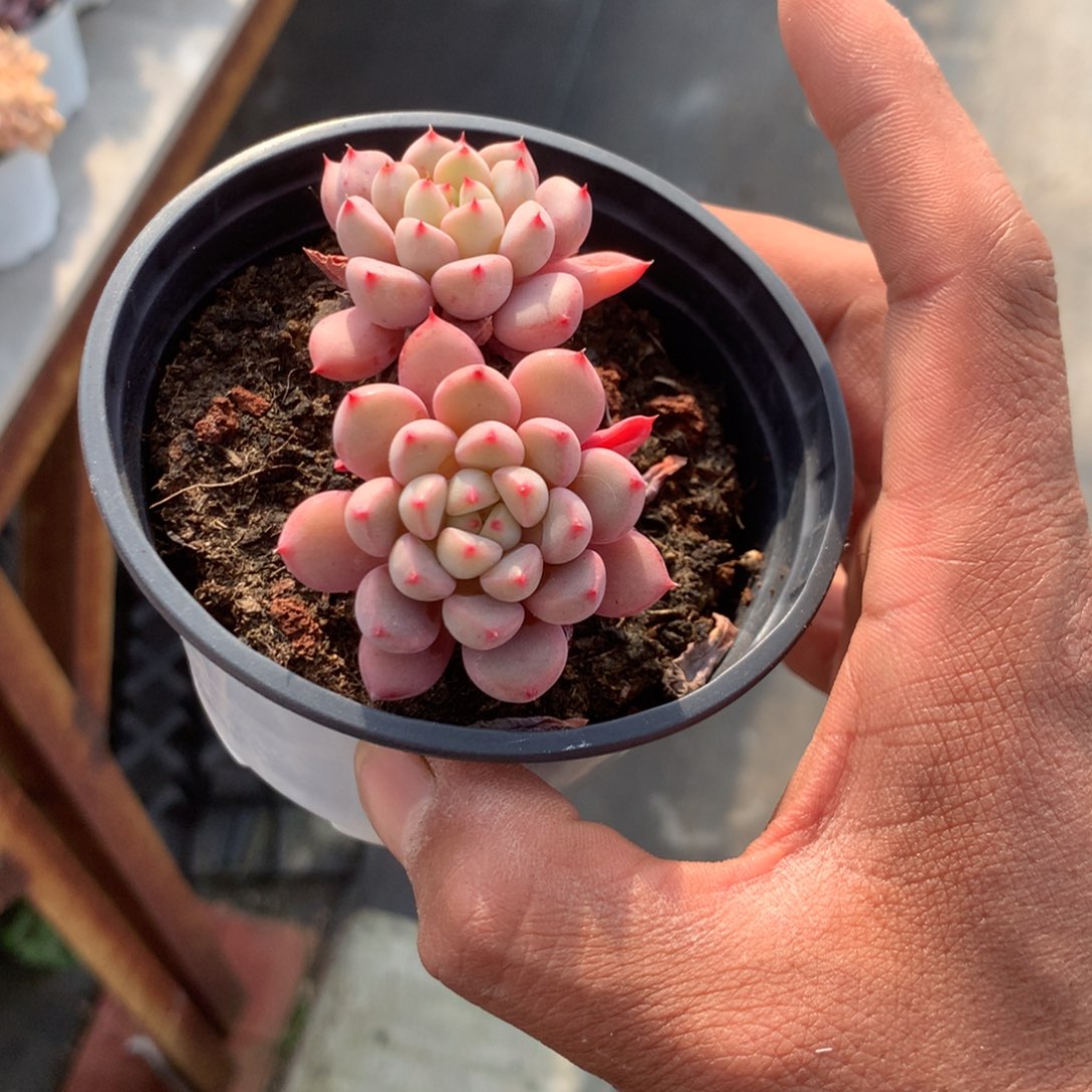 陈***师我们是真的没有关系嘛