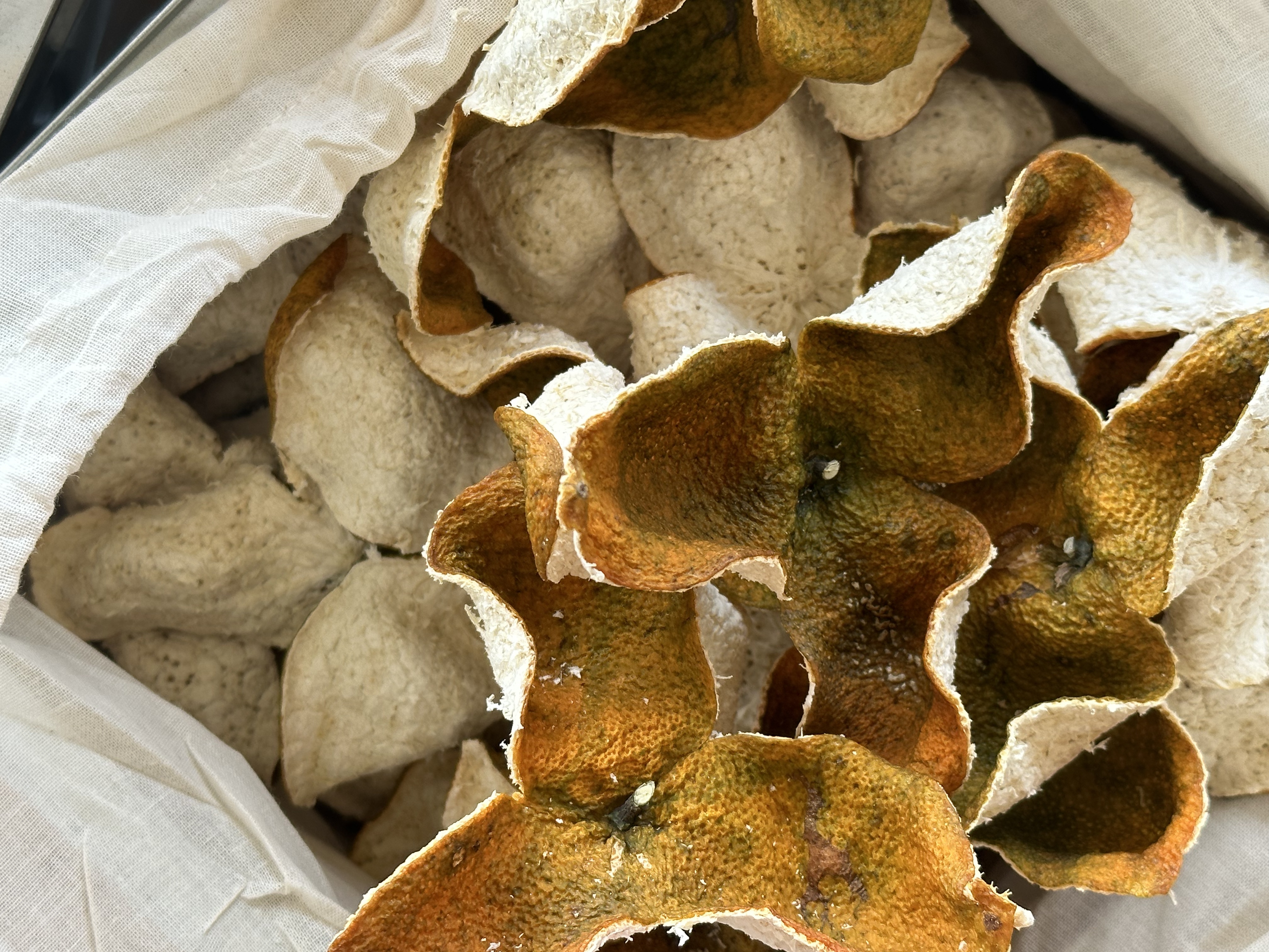 【貌丑心甜】2025年南坦圈枝狗腩【大叶油种】全生晒干皮【皮实囊厚】