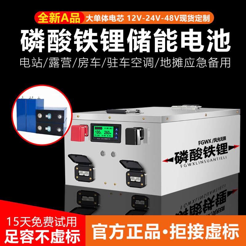 FGWX露营摆摊12v24v大容量磷酸铁锂电池冰箱零藏柜户外大功率电瓶