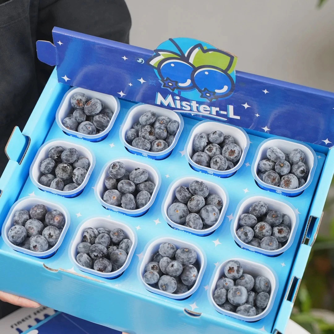 林烁严选 秘鲁进口安第斯山脉比安卡蓝莓18mm+花香浓郁 顺丰包邮