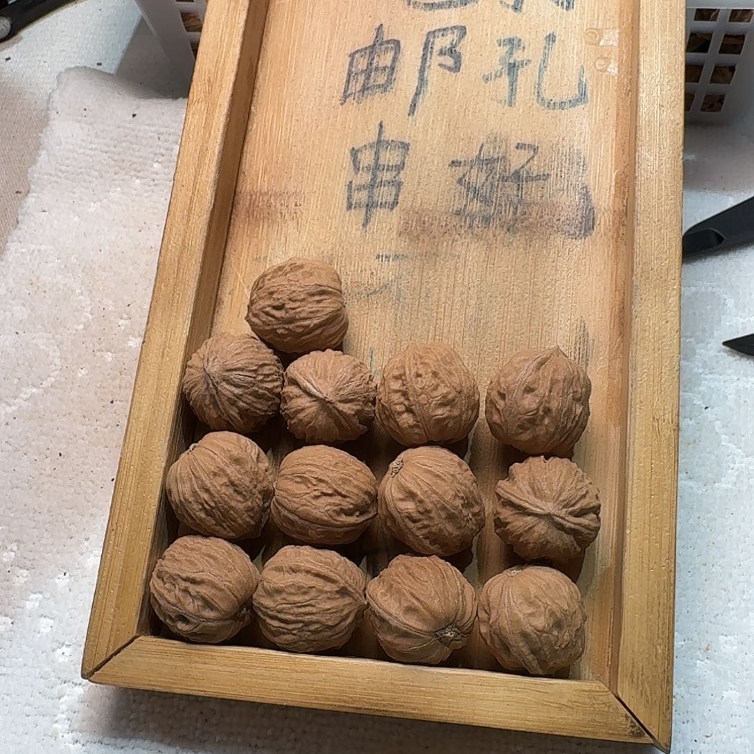 核桃手串/手链57号边肚高21