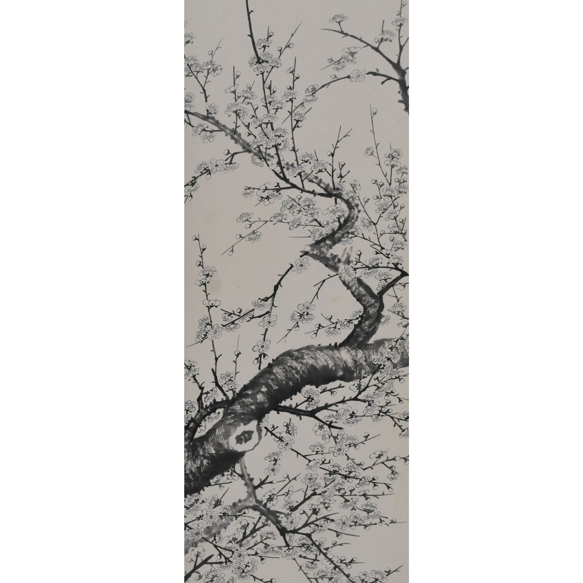 HM7242 冷梅 92X26cm 纸本立轴 2.1平尺