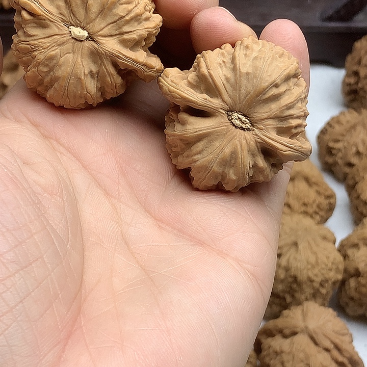 沧***士吊坠文玩核桃白狮子