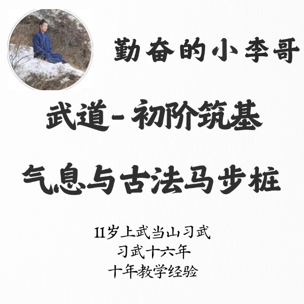 武道-初阶筑基-气息与古法马步桩(下单查看城舟科技短信解锁）