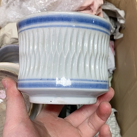 紫砂哈哈哈哈哈哈哈哈哈哈