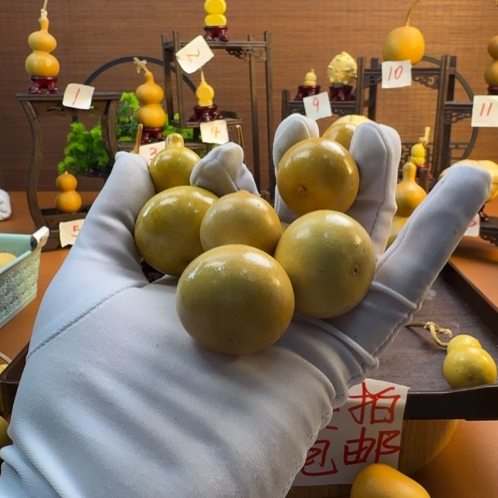 梵***杰葫芦直播间葫芦四个嗯