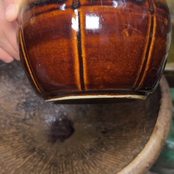 练***坡我的小可爱们都好可爱啊