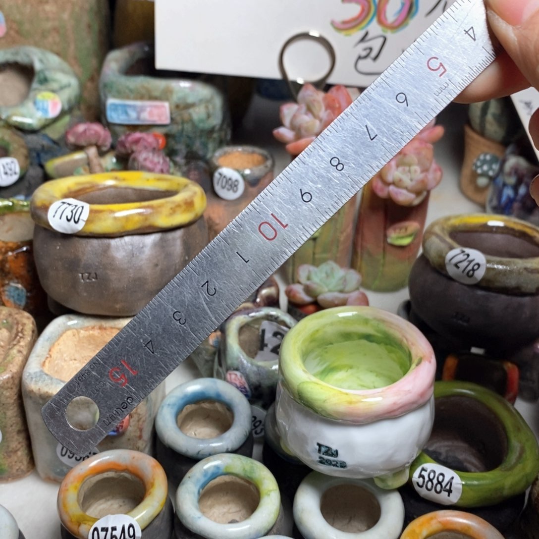 周**周花盆拍3送一个小礼物