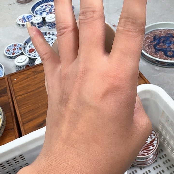 瓷片釉里红鱼藻盖置景德镇