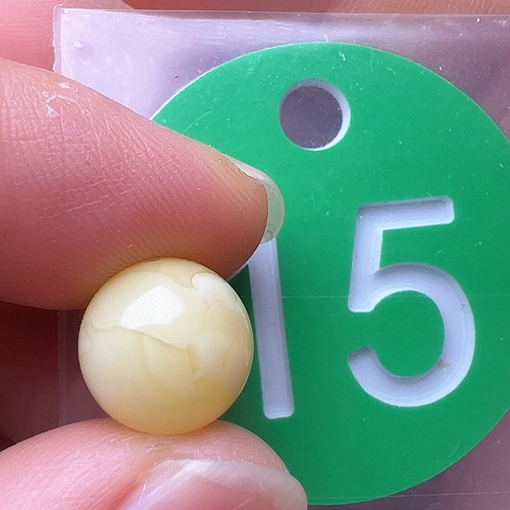 蜜蜡裸石未镶嵌10.3m m