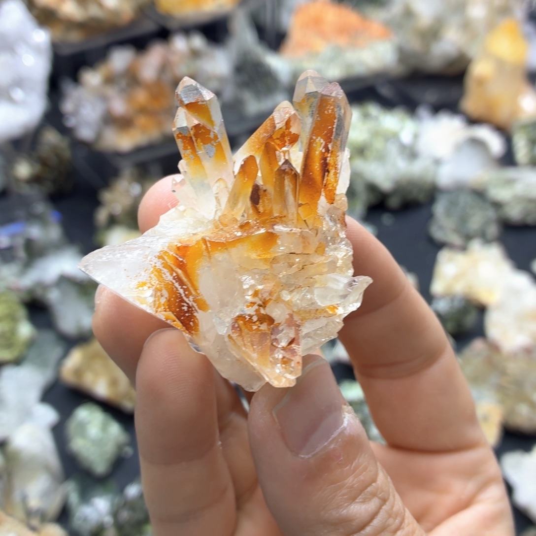 石材一个海胆黄水