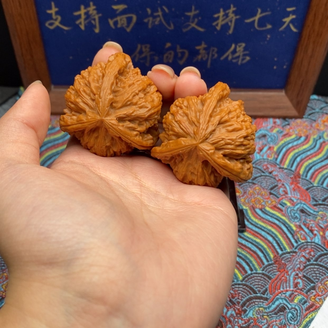 【闪购商品】D***?白狮