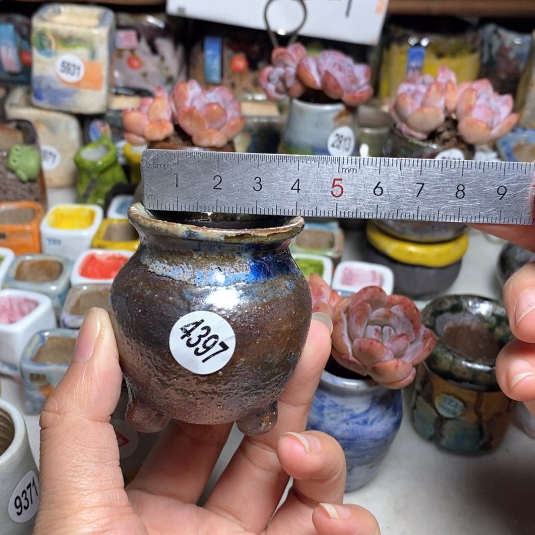 拍5送一个小礼物