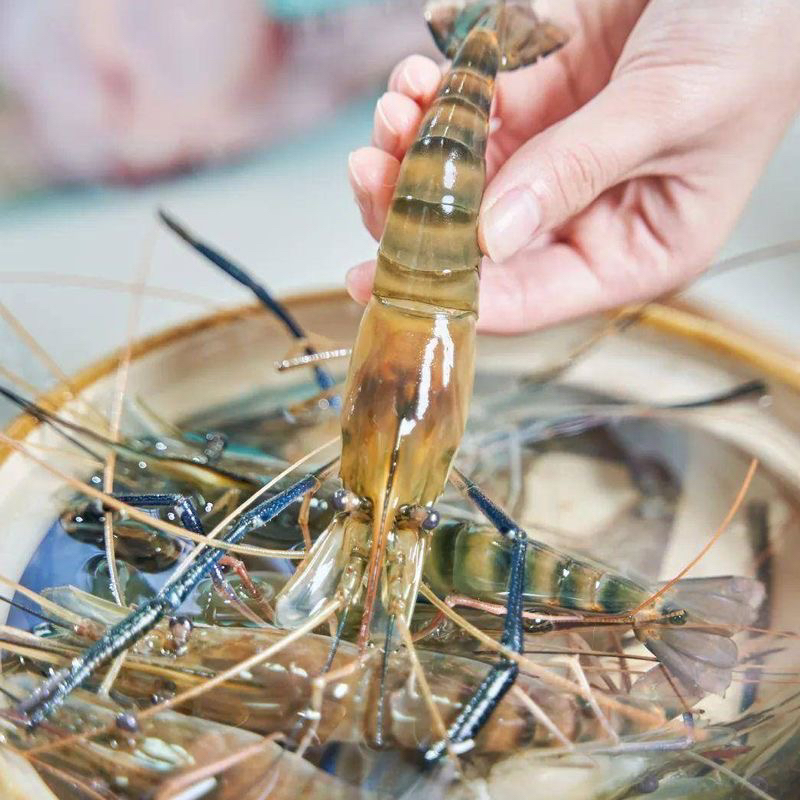 罗氏虾3斤重 肉质肥美 京东顺丰速冻发货